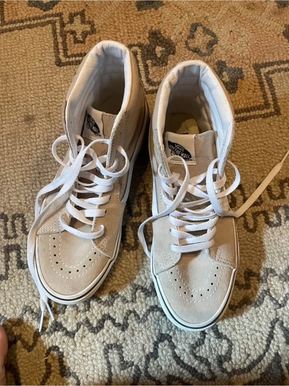 Vans High-Top Sk8-Hi Sneakers